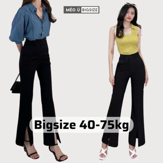 Quần ống loe xẻ gấu BIGSIZE lưng cao cạp khóa xẻ gấu dáng dài quần ống loe 435