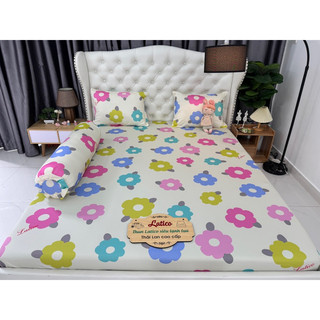 Ga gối thun siêu lạnh lụa Latico (nhiều mẫu)