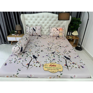 Ga gối thun siêu lạnh lụa Latico (nhiều mẫu)
