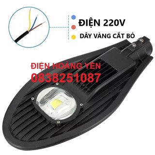 Đèn đường LED 50W 220v hình chiếc lá