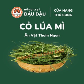Cỏ lúa mì cho thỏ, bọ ú, chinchilla giàu chất xơ 50g 100g