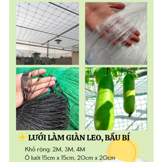  Lưới Làm Giàn Leo Bằng Sợi Cước Siêu Bền – Giúp Cây Leo Nhanh Tăng Năng Suất Dễ Thi Công 