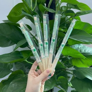 Sỉ 1000 đôi đũa tách Nhật dùng 1 lần.