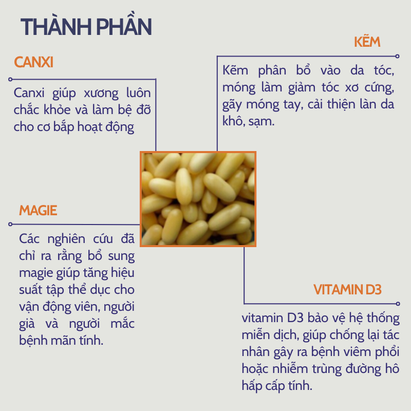 Canxi hữu cơ NOW Calcium & Magnesium hộp 120v nhập khẩu Mỹ giúp xương chắc khỏe, hỗ trợ cơ bắp, trí nhớ, hệ miễn dịch