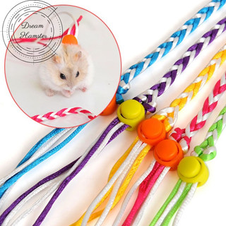 Dây dắt hamster, sóc và thú nhỏ khác