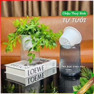  Bình thuỷ sinh trồng cây Chậu trồng cây tự tưới thông minh Trồng cây cắm hoa trang trí văn phòng bàn làm việc 