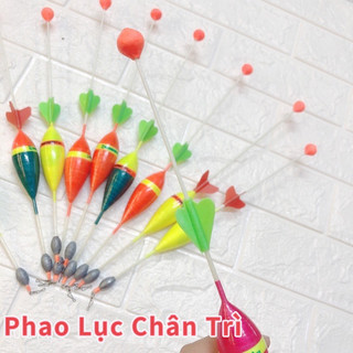 Phao câu cá - phao câu lục ngày - câu lục chân trì