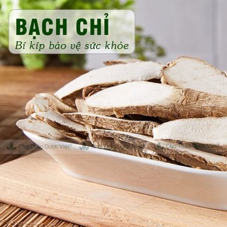 Bạch chỉ khô 100g, thái lát mỏng, trắng, thơm, dùng pha trà, hầm canh - Chợ Thảo Dược Việt