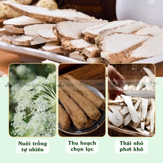 Bạch chỉ khô 100g, thái lát mỏng, trắng, thơm, dùng pha trà, hầm canh - Chợ Thảo Dược Việt