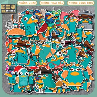50 Sticker Perry chống nước dán mũ bảo hiểm, điện thoại, laptop, đàn guitar, vali. ST124