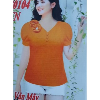 Áo kiểu nữ cổ V