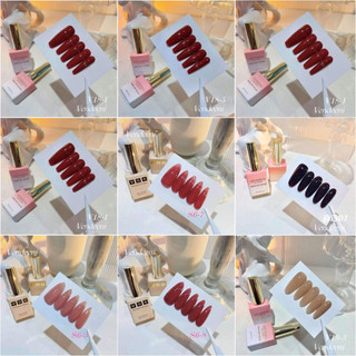Sơn gel thạch Vendeeni chọn màu hot , sơn thạch Vendeeni chính hãng mẫu chai mới 15ml