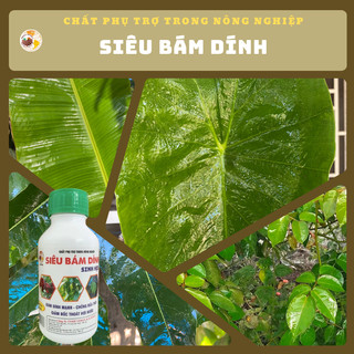 CHẤT BÁM DÍNH SINH HỌC - Chai 500ML