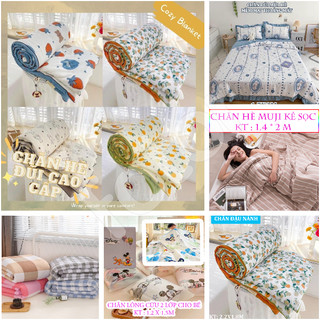 Bộ chăn, mền bông cotton sơ đâu nành, ca rô, muji, hoạt hình, mùa hè cao cấp
