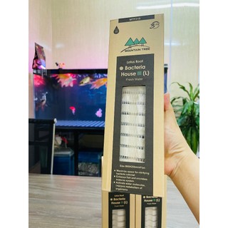 Sứ Củ Sen Mountain Tree Thế Hệ 3 (25cm x 8cm) 1 Thanh