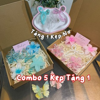 Set 6 Kẹp Hoa Sứ Gói Hộp Quà Có Kèm Giấy Lót Nhiều Màu Sắc CUTE SHOP