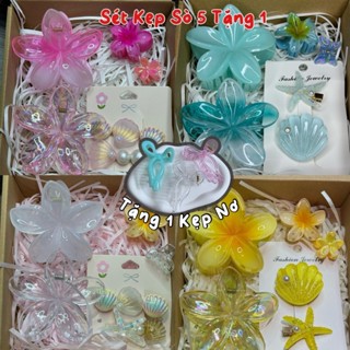 Sét 6 Kẹp Sò Đi Biển Và Hoa Sứ Có Hộp Và Giấy Lót CUTE CAT