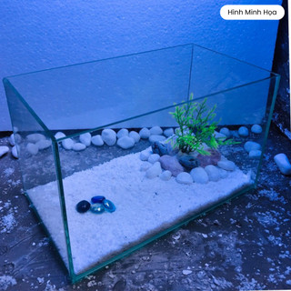 Hồ cá mini để bàn khung kiếng 30x17x17cm