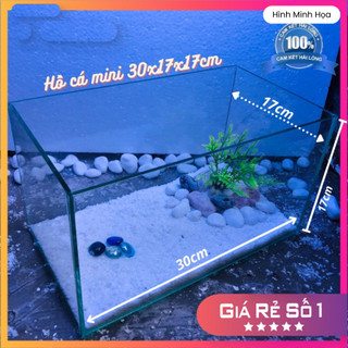 Hồ cá mini để bàn khung kiếng 30x17x17cm
