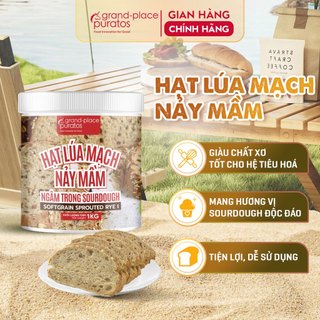 Hạt Lúa Mạch Nảy Mầm Ngâm Sourdough Puratos Grand-Place VN -1kg -Hạt mềm- 4018298