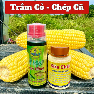 COMBO Hương Liệu Ủ Ngô + Sữa Chép chuyên Câu Cá Trắm Cỏ và Chép Cũ