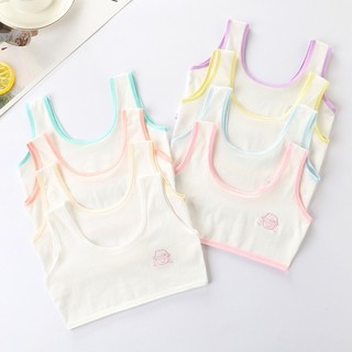 Combo 3 Áo Lót Lá Học Sinh Cho Bé Gái Tuổi Dậy Thì chất Cotton Thoáng Mát Thấm Hút Mồ hồi 24 -42kg