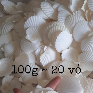 Vỏ sò điệp trắng 100g