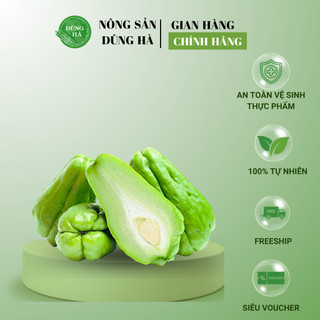 SU SU TƯƠI ngon, nấu canh, nấu món xào cực kì hấp dẫn [SHIP HỎA TỐC]