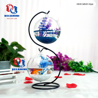 Bể cá mini để bàn treo mini chữ S