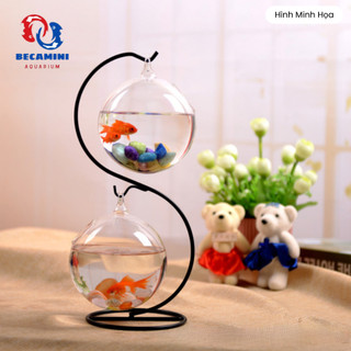 Bể cá mini để bàn treo mini chữ S