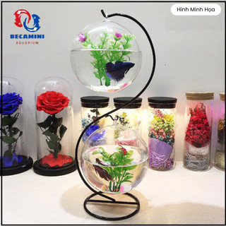 Bể cá mini để bàn treo mini S