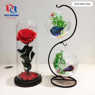 Bể cá mini để bàn treo mini S