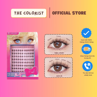 Mi giả Mlen Diary Anime Hoạt Hình Dễ Gắn Cho Người Mới Trang Điểm