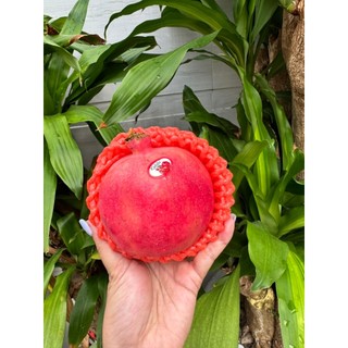 [ JENNY FRUIT ] Thùng lựu thái 3.5kg lun thùng