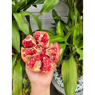 Lựu thái ngọt 1kg