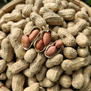 200G đậu phộng đã được phơi khô còn nguyên vỏ