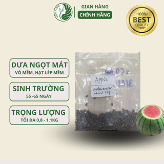 Hạt giống dưa hấu baby gói 15 hạt_KIEU FARM