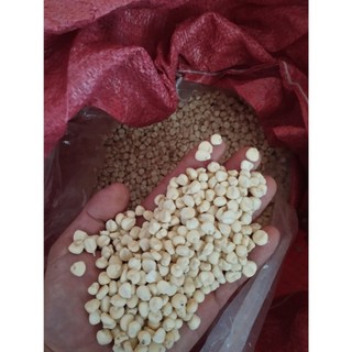 10kg bắp nếp hạt khô nguyên hạt làm xôi bắp, bắp hầm, bắp giã, sữa bắp nếp _ bắp nếp khô giá sỉ 🌽 nongsangiasi.com
