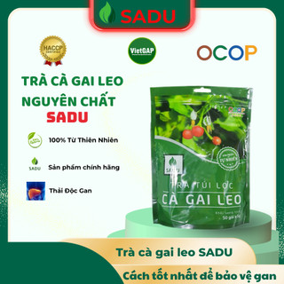 Trà túi lọc Cà gai leo sadu bảo vệ gan, tăng cường chức năng gan 250g