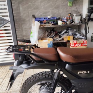 Baga sau cho xe PG-1 dạng tấm.