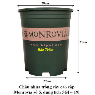 Chậu nhựa trồng cây cao cấp Monrovia cỡ số 5 dung tích 5 Gallon ( 19L)