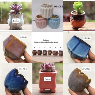 Chậu sứ mini trồng cây