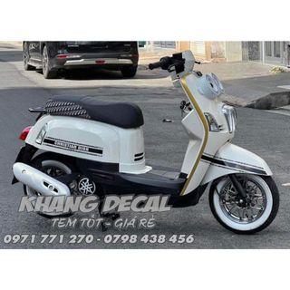 Tem rời DIOR CUXI - 3