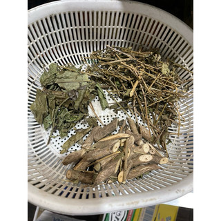 0.5kg Cây An Xoa Rừng
