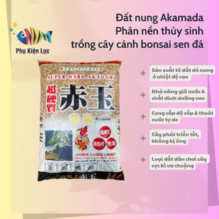 Đất Akadama (túi 5kg) size SS-S chuyên dùng cho trồng sen đá, xương rồng,bonsai