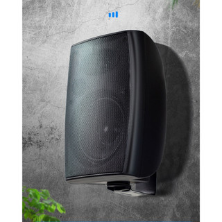 Loa trợ lời hát karaoke, Loa treo tường tăng lời cho karaoke gia đình. Loa công suất lớn, chất âm ấm hay