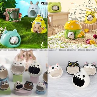 Tổng hợp nhà ngủ sứ nhỏ cho hamster