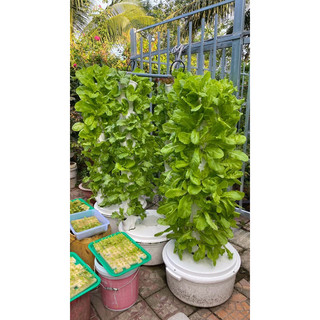 COMBO 2 BỘ TRỤ ĐÔI KHÔNG PHỤ KIỆN