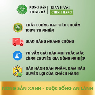 CHANH TƯƠI mọng nước, siêu ngon