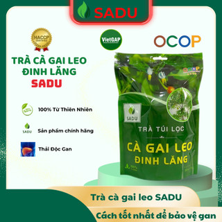 Trà túi lọc cà gai leo đinh lăng Sadu 250gr